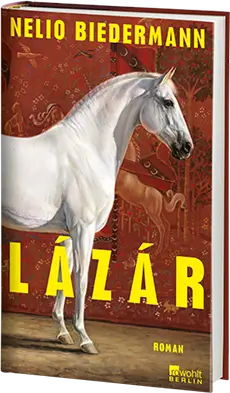 Coverabbildung des Buches