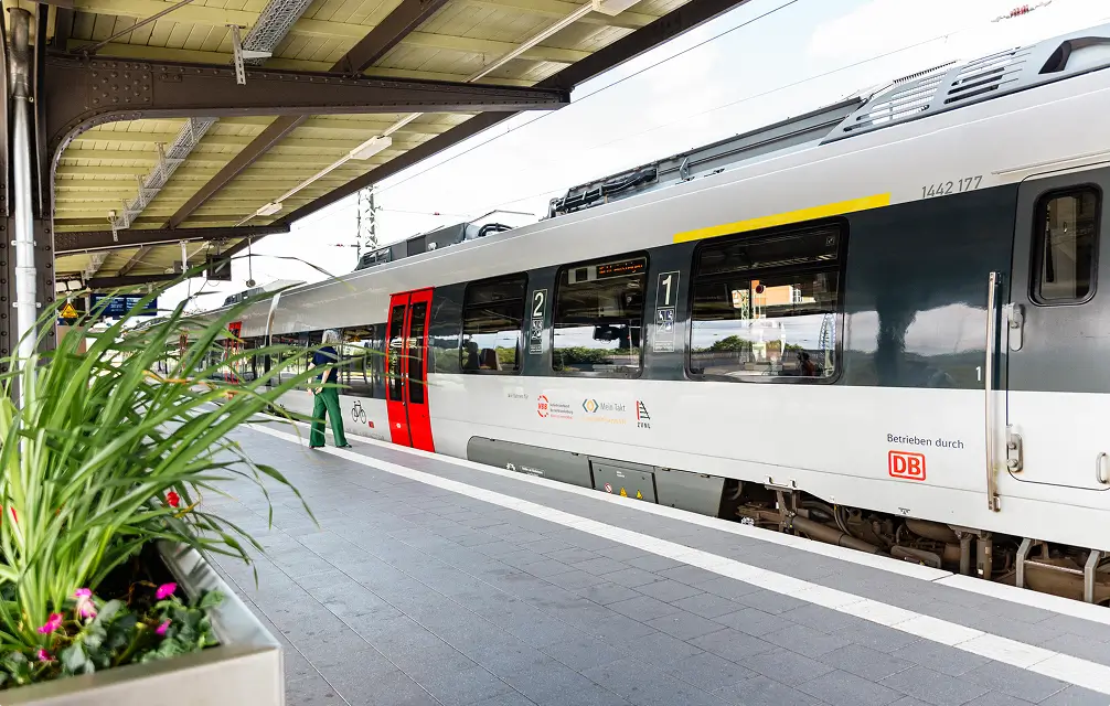 Ein moderner Regionalzug steht am Bahnsteig, im Vordergrund sind grüne Pflanzen in einem Kübel zu sehen.