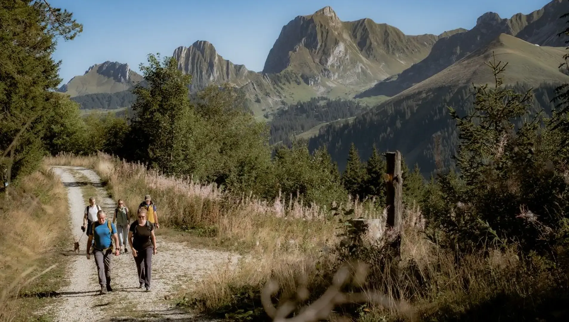 Eine Wandergruppe geht auf einem Naturweg durch eine grüne Berglandschaft mit markanten Gipfeln im Hintergrund.