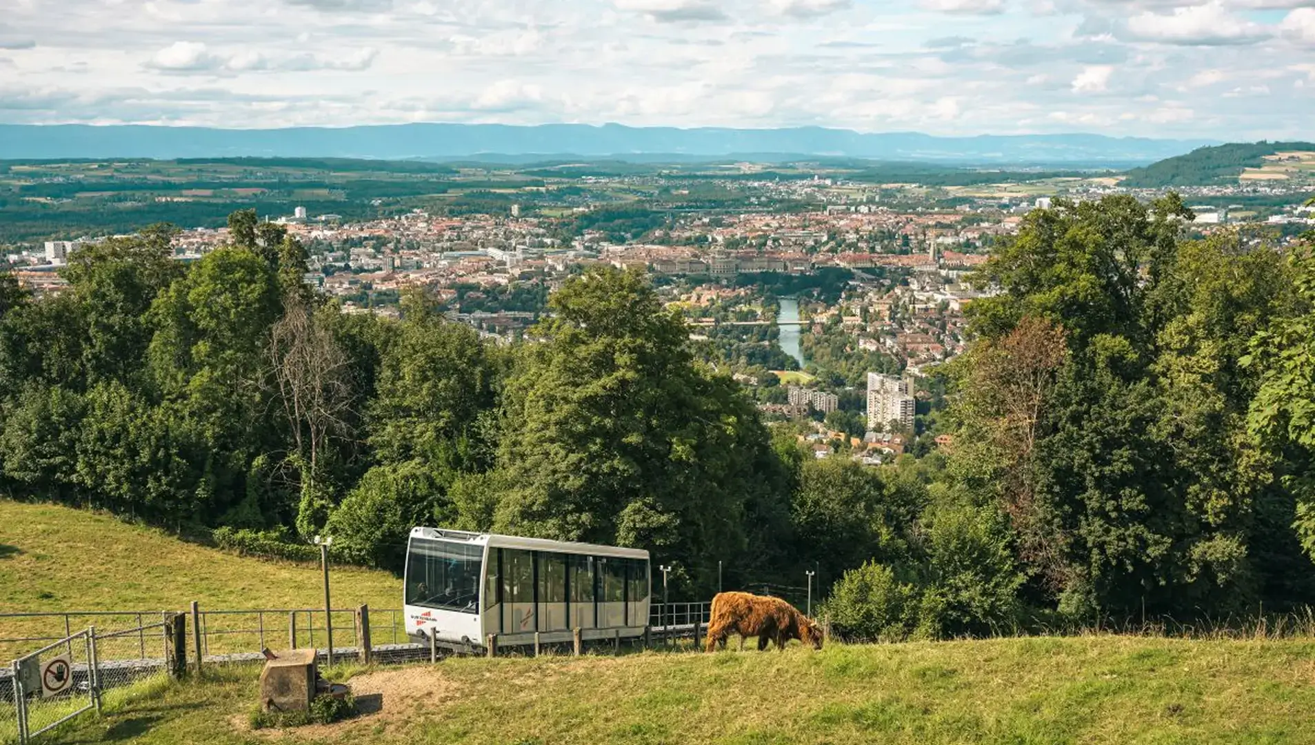 Eine Standseilbahn fährt einen grünen Hügel hinauf, im Vordergrund weidet eine Kuh; im Hintergrund ist die Stadt Bern mit Fluss und Alpenpanorama zu sehen.