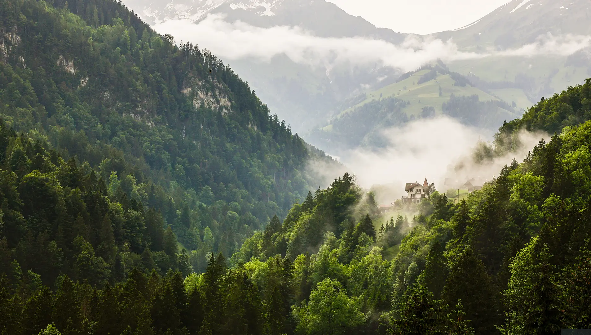 Blick auf ein grünes Tal mit dichtem Wald und steilen Felswänden, im Hintergrund Wasserfälle und verschneite Berge.