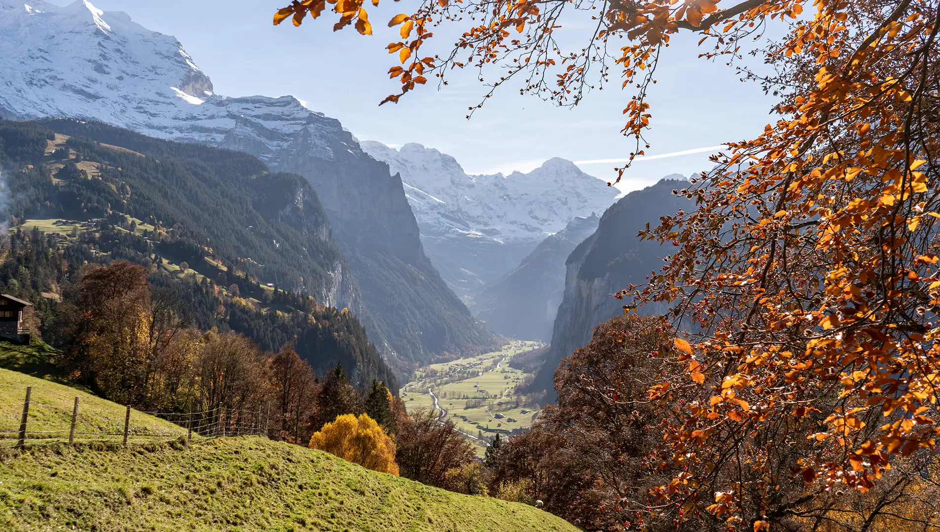 Blick durch herbstlich gefärbte Bäume ins Lauterbrunnental mit schneebedeckten Bergen im Hintergrund.
