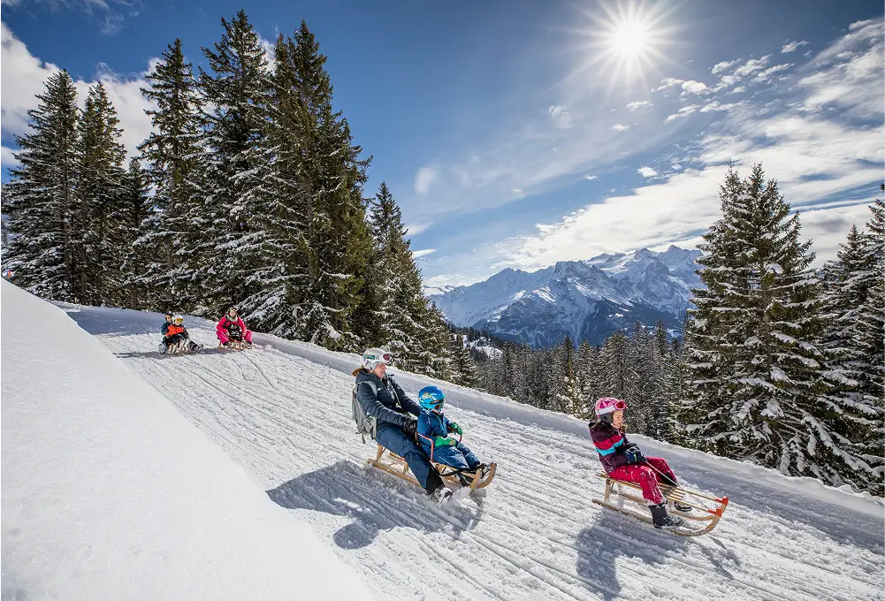 Familien rodeln bei Sonnenschein eine verschneite Piste durch den Winterwald mit Blick auf die Berge hinab.