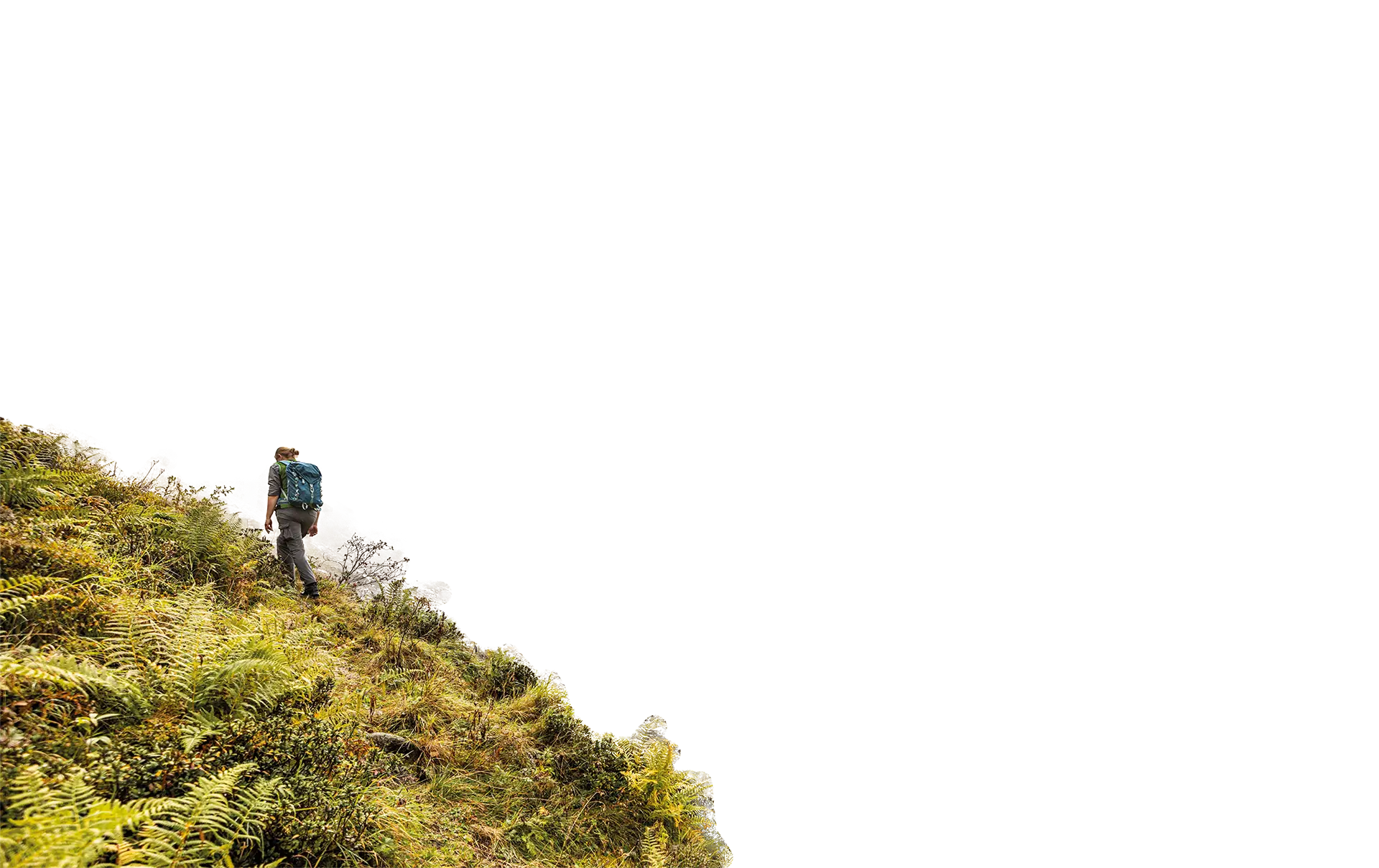 Eine Person wandert mit Rucksack durch ein nebliges Gebirgstal mit Bach und grünen Hängen im Nationalpark Hohe Tauern.