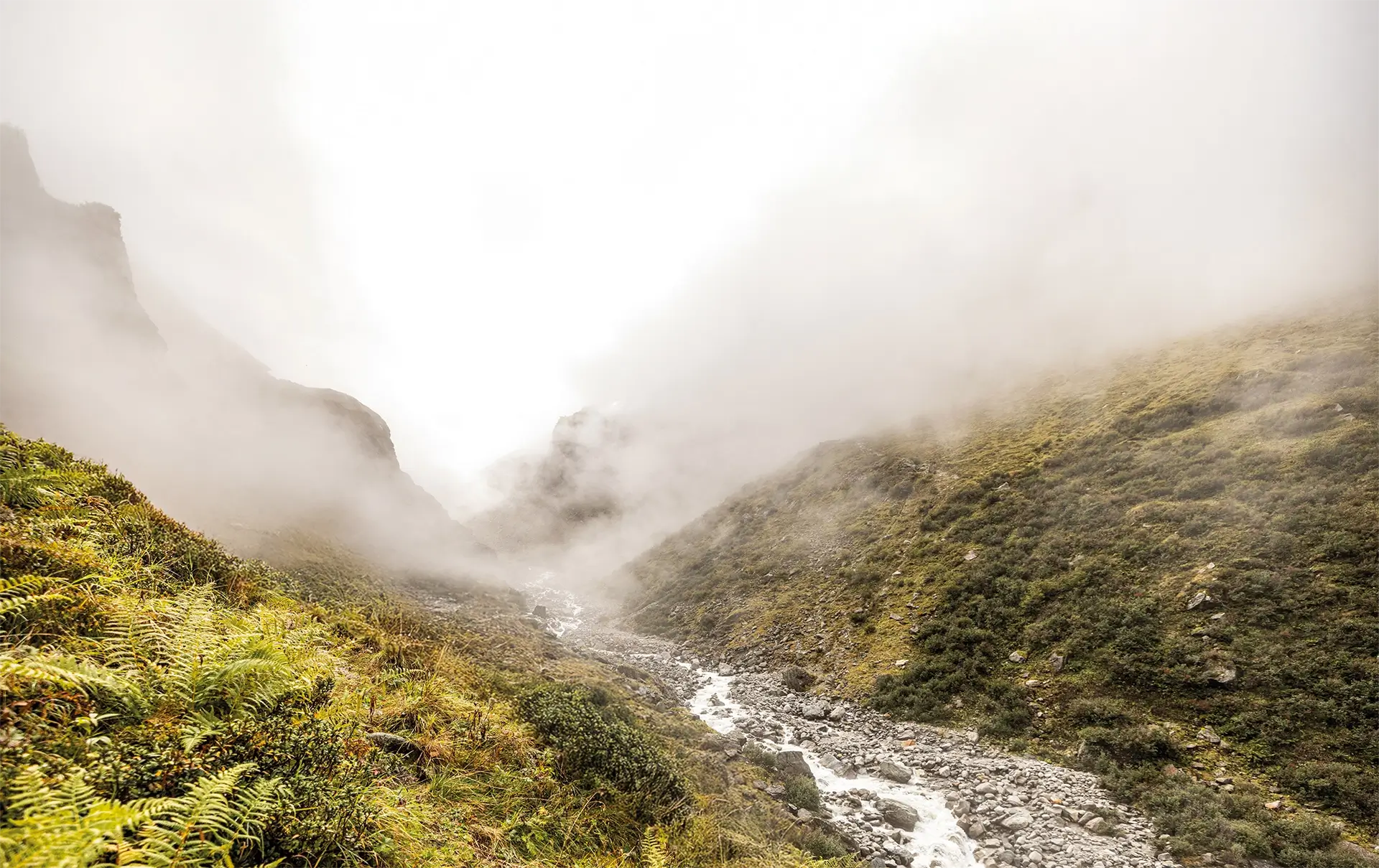 Eine Person wandert mit Rucksack durch ein nebliges Gebirgstal mit Bach und grünen Hängen im Nationalpark Hohe Tauern.
