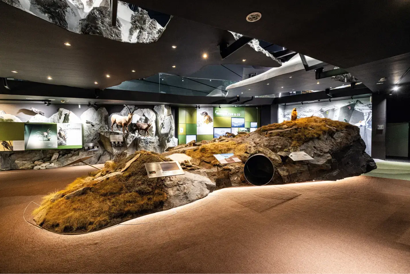 Innenaufnahme einer Ausstellung mit nachgebildeter Felslandschaft, Tieren und Informationstafeln im Nationalpark Hohe Tauern.