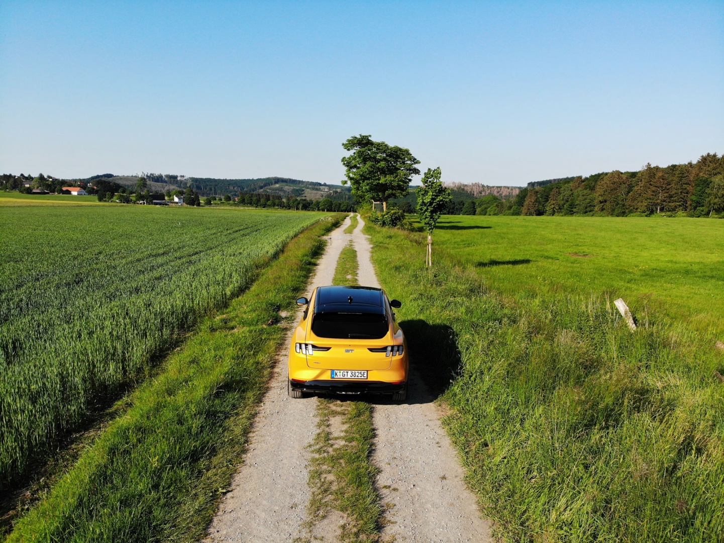 Ford Mustang Mach-E GT auf dem Feldweg